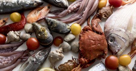 41a048a61228ec276e79e5ee725b88d5_13.02.26