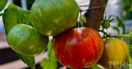 41c5083b16aa15037965d28955cf9607_24.04.26