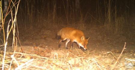 4206d55d2303b2542e05f31a766b6d63_21.04.26_1