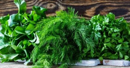 4434b912e3a37a40d91d6c5d77a6faf1_23.04.26_1