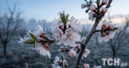 44a1c5069d0bfc09406365cc150d4ff0_05.04.26_1