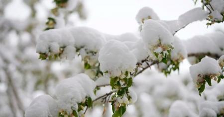 44dea0bb8c596689996ba8ca3e5a64e2_11.04.26_1