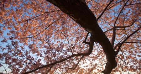 454f00ef8242ca712ece931ae83cc48e_06.04.26