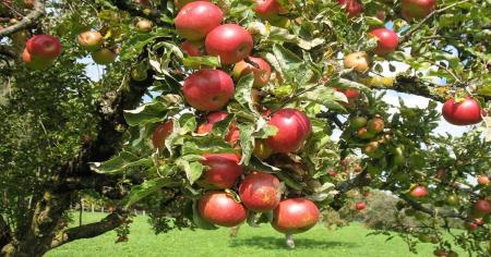 460245818af22d097325250e7a47885b_23.03.26