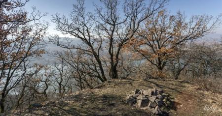 46e19cbd884234c31008e90dc2f6fa7f_27.02.26