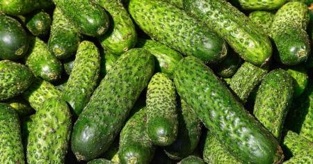 4734c5f5f520b8517696c09a6e4b7b03_27.02.26