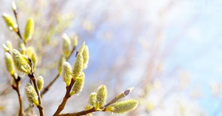 4783630bac754affa8295bf55aef6cad_17.03.26