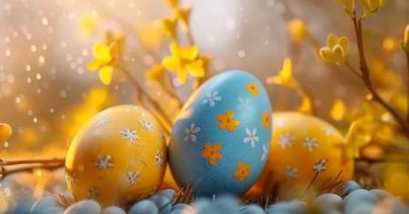 48d9acf44bfae28d542e2bca66b4ef74_0804.26_1