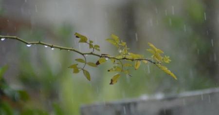 48dfef84554c1030f02e30ad7cd512b7_02.04.26_1