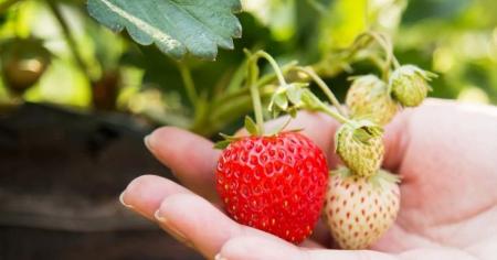 4a710ee6846283aa0388b9b3b9ba6426_07.04.26_1