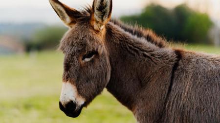 4bb2e25bb5a448764b6152c479d714fd_1200x675_07.03.26