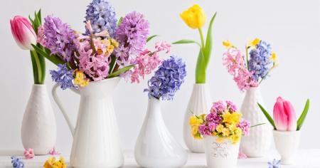 4bd268d7eb8b9de269ca9de14903ff01_12.03.26