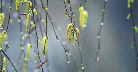 4c2d135443ee825697e17e4cb9757ddd_16.03.26