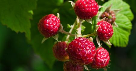 4cb8e3e8d0ea771fc0266ef125eaee35_07.04.26