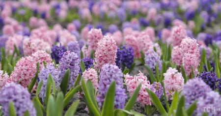 4d131ae82a6d456e2a9a723ef592c806_14.04.26