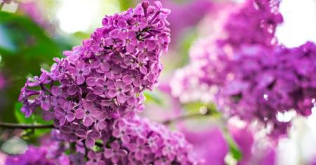 4fbbe13d0eab32f418498a56009bce87_06.05.26_1