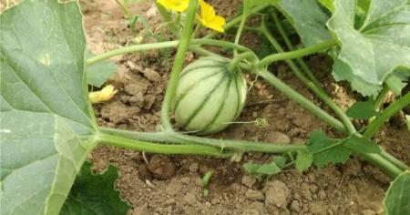 50ddca5e713b611d490e4d5aaf5d6ce1_23.04.26_1