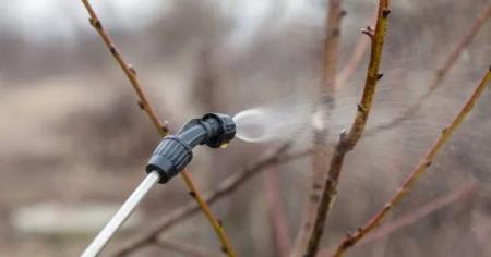 52836dcbabae43ca71b85b0d6c82afa1_23.03.26_1