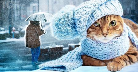 53a9e223f3728a79511e09bb9ccdacec_16.02.26