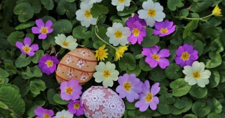 54f915525c3ac161c81136ac8d613927_12.04.26