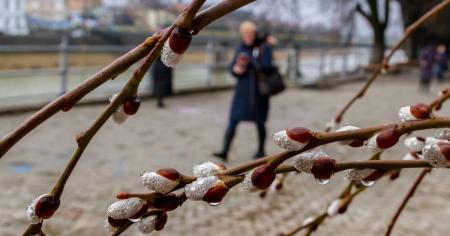 Потепление идет с дождями и снегом: конец марта будет с подвохом