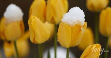 5668bba54f44c5c735973e61b9a85b22_10.04.26_1