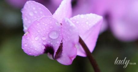 56a1c05ed9cacde3358693c405376c68_30.03.26_1