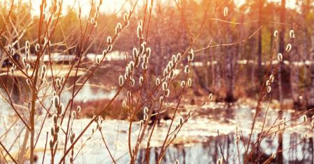 57687341a34911027375323114eee0b9_26.03.26