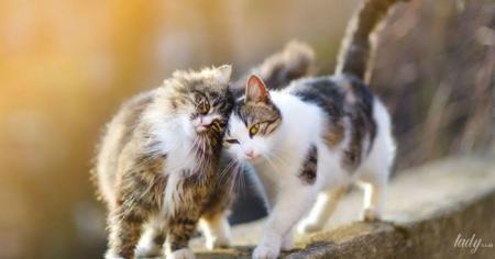 585b26bf1e8a0ccc807c4514810c5375_23.03.26_1