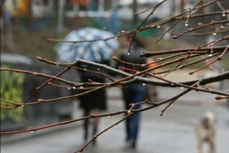 Похолодание с дождями задержится ненадолго: синоптики уточнили прогноз