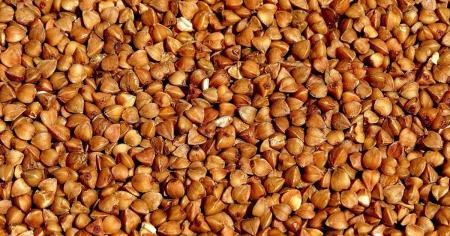 5ab3946d76377653a6b3692f576dc98b_19.02.26