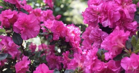 5b314fad3e52376c21d31b501c169f28_30.05.26