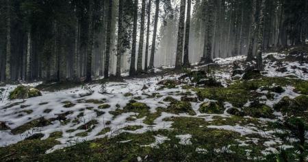 5c521991ed69ef2db75601967ff9ab6e_17.03.26