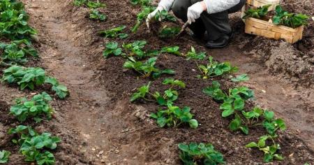 5c5f66c86e53560499d2d22102652b07_18.04.26