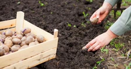 5c75b157c5d8241943db164703cd971e_15.04.26_1