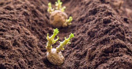 5cac17015b09e6725bcb606f5ff9d4f7_17.04.26_1