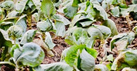 5d619d27afdbee7b1fada773d10e110d_08.06.26_1