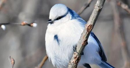 5db2b25cb72ba15974fab7cc68f59f77_25.02.26_1