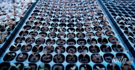 5de6bbf55c473928a5d9beb49adf4dfd_24.04.26_1