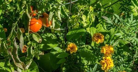 5eaa8eea487b0a2b74d260216b73e5cd_23.04.26_1