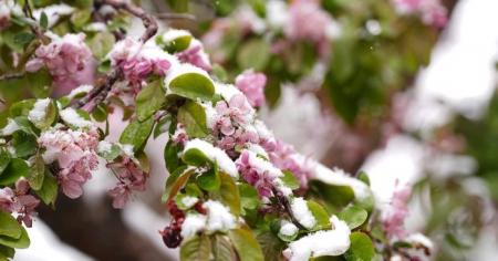 5ecd7da1ec7d120143468c132a31b068_25.04.26_1