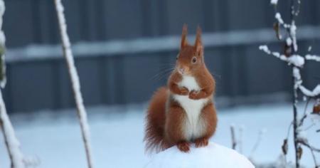 5efe8c977a3dee602c72ee9e670c3a49_19.02.26_1