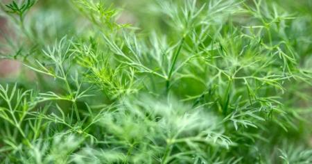 5f0062eabc58ee8bfcd2e42230a15440_28.03.26_1