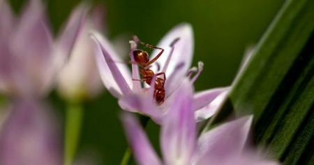 61de094340decda5a4794a93b3beac9d_23.04.26_1