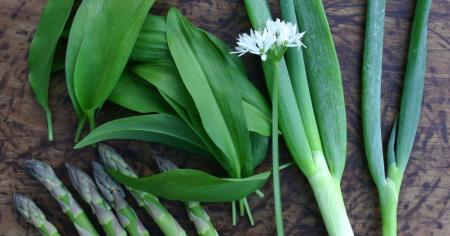 61e22a326249790c9198bbad56f4224f_25.03.26