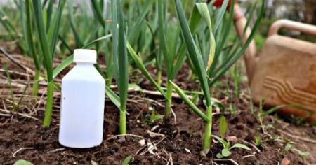 627a9de2c06bbfb98df0c6742c001959_18.04.26_1