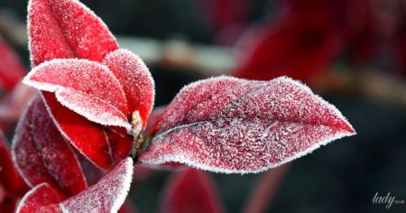 62e496ff7d40e20f672a4927e8fbb2cb_21.02.26