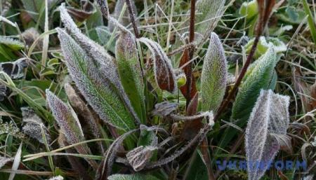 630_360_1509436727-6285_07.04.26