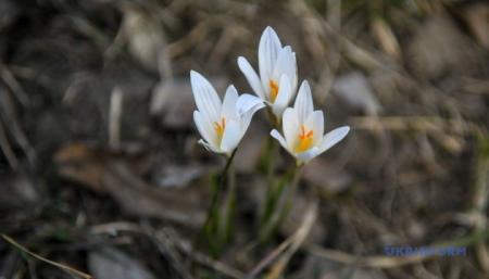 630_360_1552060838-644_09.03.26