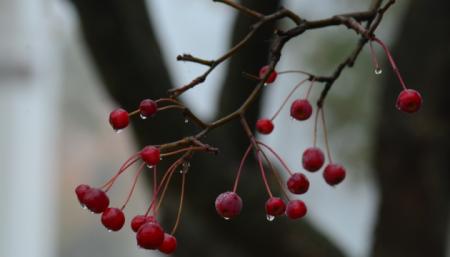 630_360_1582210486-265_26.03.26